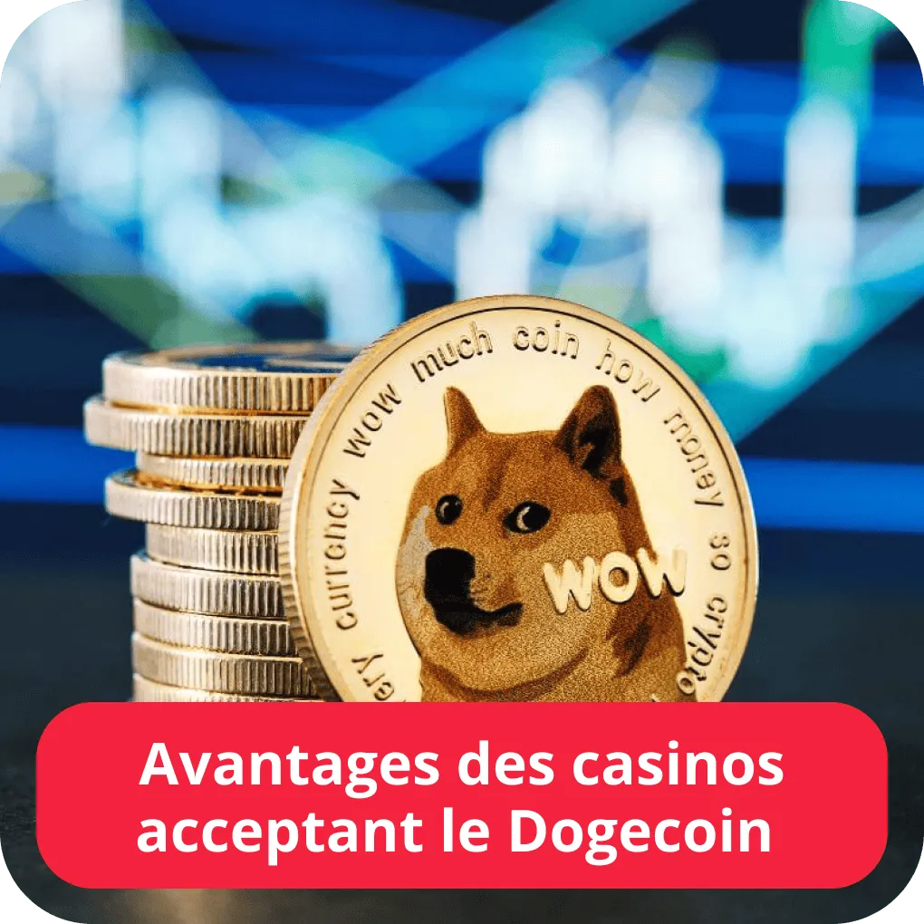 Avantages des casinos acceptant le Dogecoin 