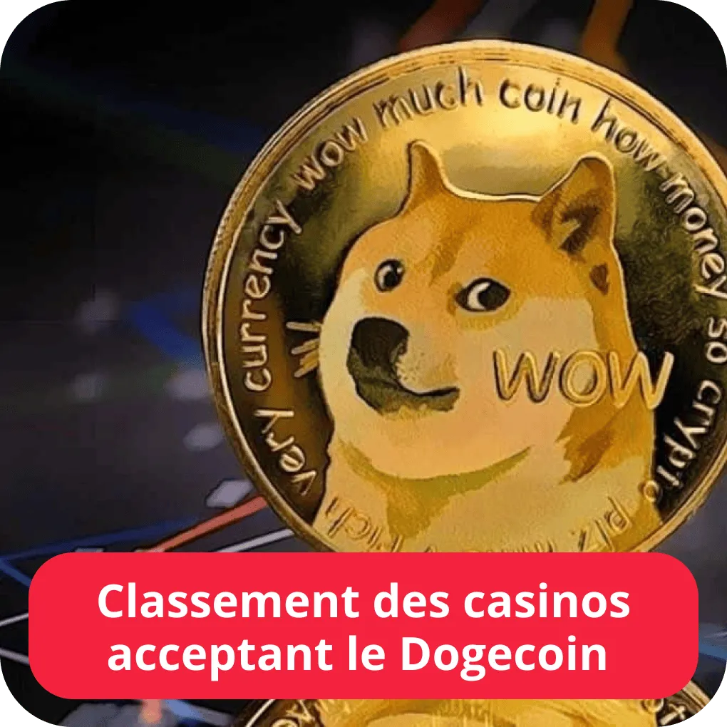 Classement des casinos acceptant le Dogecoin 