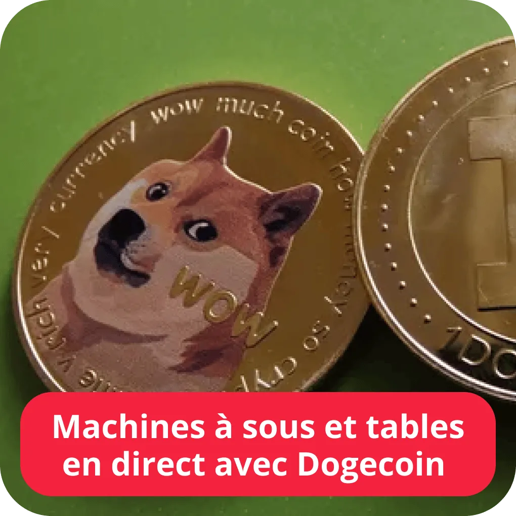 Machines à sous et tables en direct avec Dogecoin 