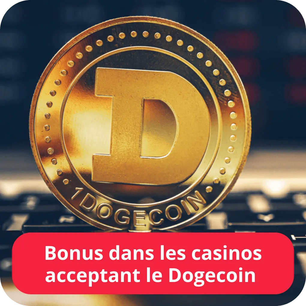 Bonus dans les casinos acceptant le Dogecoin 