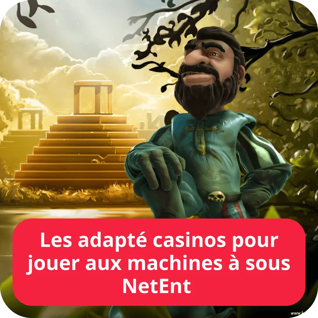 Les adapté casinos pour jouer aux machines à sous NetEnt 